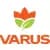 VARUS
